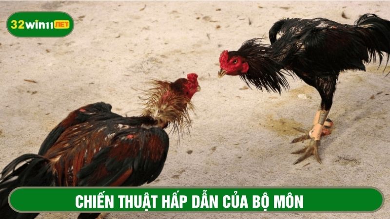 Sức hấp dẫn của bộ môn đến từ sự kịch tính của chiến thuật 