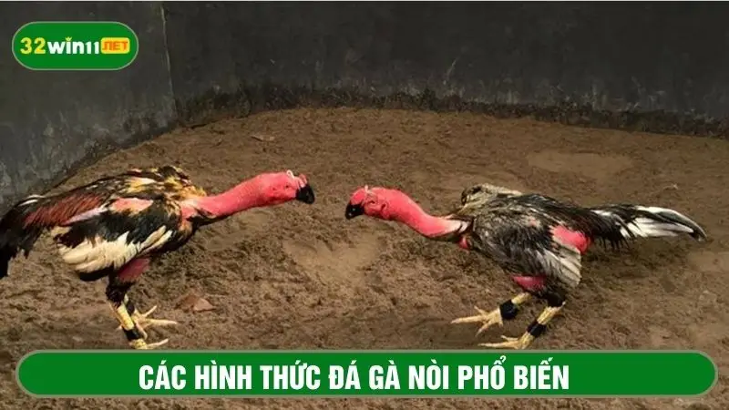 Tổng hợp các hình thức phổ biến có trong bộ môn 